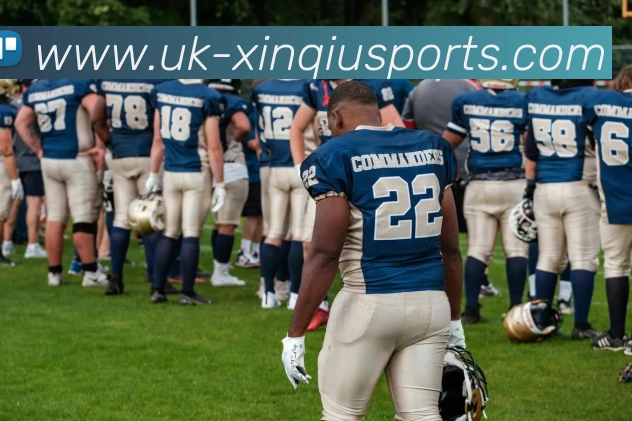 新球体育app下载服务体系